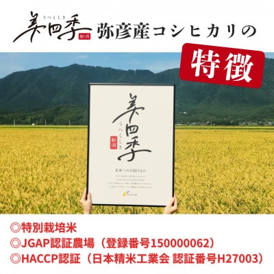 令和7年産　新潟県弥彦産コシヒカリ　美四季8kg(2kg×4袋)　皇室献上米農家生産　特別栽培米【配送不可地域：離島・北海道・沖縄県】【1690586】