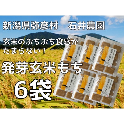 ぷちぷち食感がたまらない「発芽玄米餅」　6袋　新潟県弥彦村産「こがねもち」100%使用【1554475】