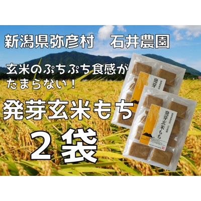 ぷちぷち食感がたまらない「発芽玄米餅」　2袋　新潟県弥彦村産「こがねもち」100%使用【1554472】