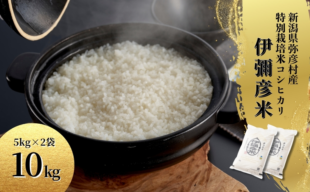 令和7年産特別栽培米コシヒカリ 伊彌彦米 10kg(5kg×2袋)新潟県産 精米 弥彦村