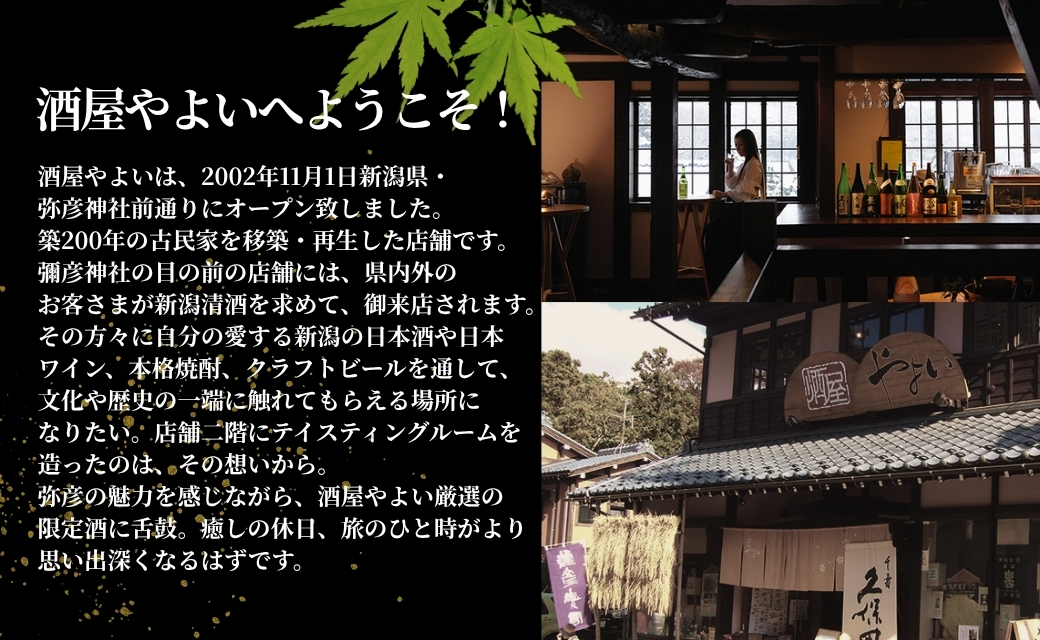 弥彦村初のクラフトビール(発泡酒) 伊彌彦エール 12本セット フルーティー