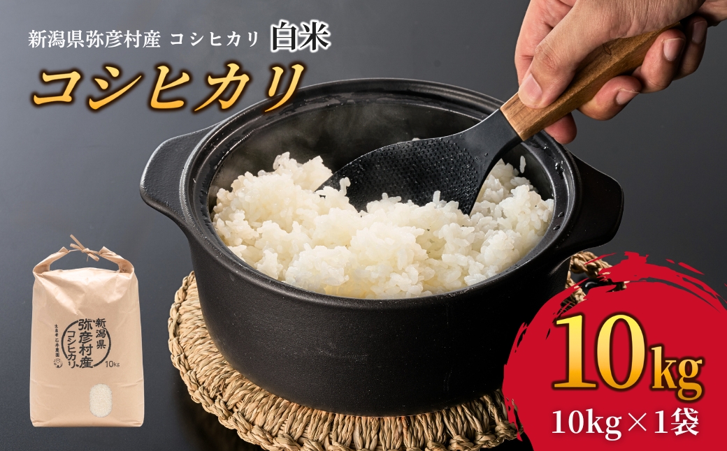 新潟県弥彦村石井農園 令和7年産コシヒカリ【白米 10kg】