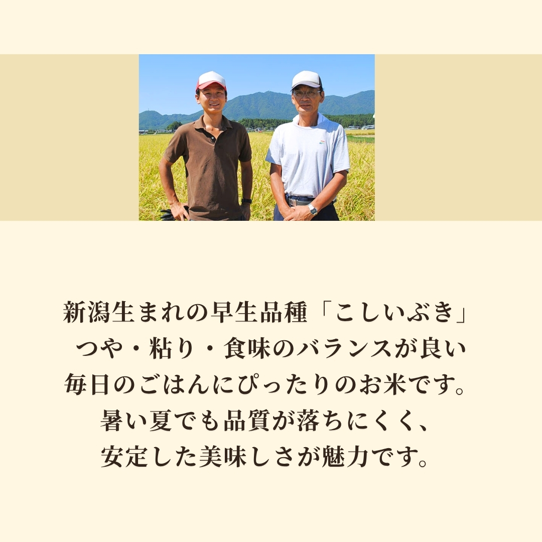 新潟県弥彦村石井農園 令和7年産 こしいぶき＜玄米 5kg＞