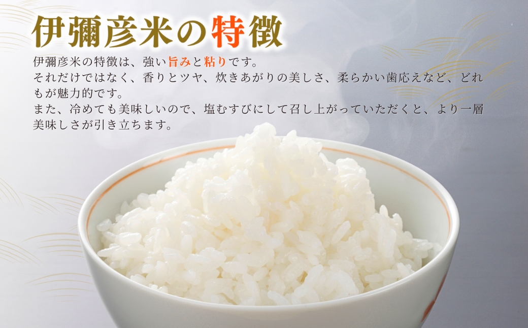 【伊彌彦米とパックごはんセット】精米5kg×1袋 パックごはん2パック