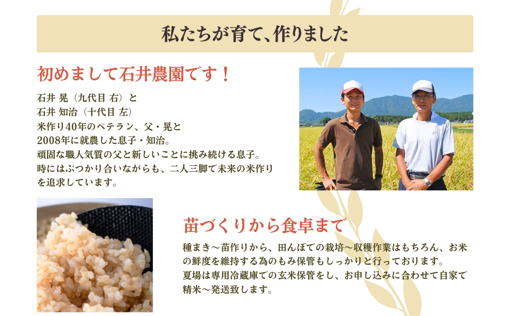 新潟県弥彦村石井農園 令和7年産コシヒカリ【白米 10kg】