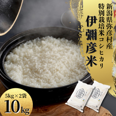 令和6年産特別栽培米コシヒカリ 伊彌彦米 10kg(5kg×2袋)新潟県産 精米 弥彦村【1006486】