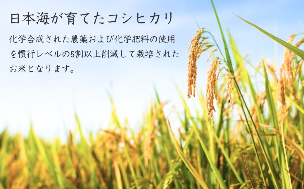 縲蝉サ、蜥7蟷エ12譛育匱騾∽コ亥ョ壹 莉、蜥7蟷エ逕」 縲後さ繧キ繝偵き繝ェ縲 5緕 譁ー貎溽恁逕」 蜃コ髮イ蟠守伴逕」 霎イ讌ュ豕穂ココ逶エ騾 逋ス邀ウ 邊セ邀ウ 縺顔アウ 縺薙@縺イ縺九j