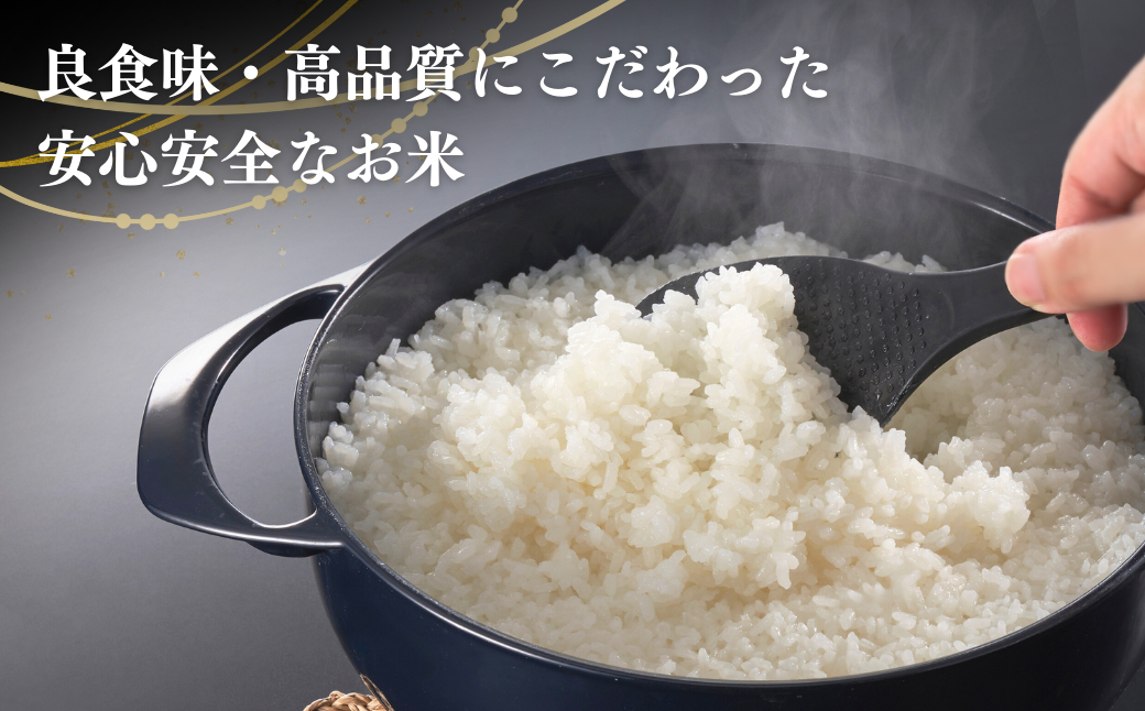 縲蝉サ、蜥7蟷エ逕」縲 迚ケ蛻・譬ス蝓ケ邀ウ 繧ウ繧キ繝偵き繝ェ 縲悟コ髮イ蟠弱ョ霈昴″縲 10緕 譁ー貎溽恁逕」 蜃コ髮イ蟠守伴逕」 繝悶Λ繝ウ繝臥アウ 逋ス邀ウ 邊セ邀ウ 縺顔アウ