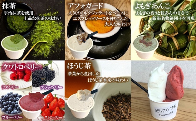 【抹茶】手作りオリジナルジェラート詰め合わせ　1種×12個　12個入（GELATO TRE IzumozakI）