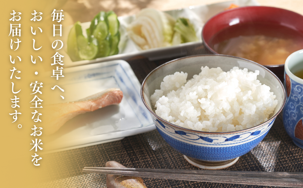 【令和7年産】 特別栽培米 コシヒカリ 「出雲崎の輝き」定期便 2kg 6か月 新潟県産 出雲崎町産 ブランド米 白米 精米 お米 合計12kg