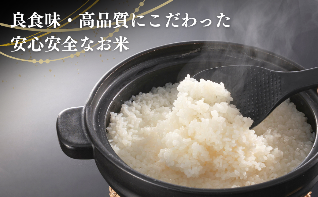 【令和7年産新米】 新潟県産 特別栽培米 コシヒカリ 5㎏ 出雲崎町産 「天領の里」白米 精米 お米 こしひかり