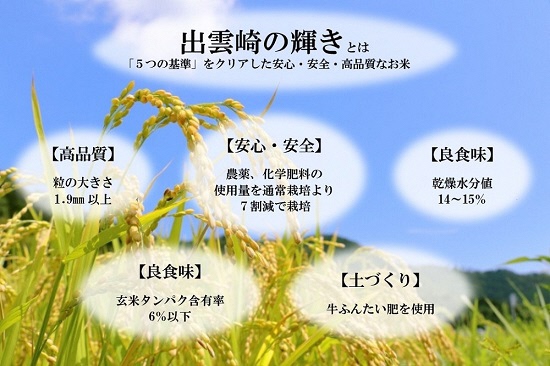 【令和5年産】新潟県出雲崎産コシヒカリ　ブランド米「出雲崎の輝き」10㎏