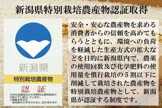 【先行予約】 新米 食べ比べ 3種 「コシヒカリ、出雲崎の輝き、新之助」 5kg×3種類 合計15kg 令和6年産 新潟県産 出雲崎町産 特別栽培米 白米 精米 お米 こしひかり