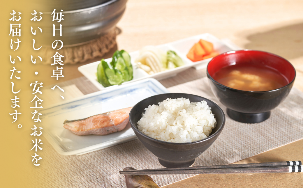 【令和7年産新米】 新潟県産 特別栽培米 コシヒカリ 定期便 5kg 6か月 出雲崎町産 「天領の里」白米 精米 お米 こしひかり  合計30kg　