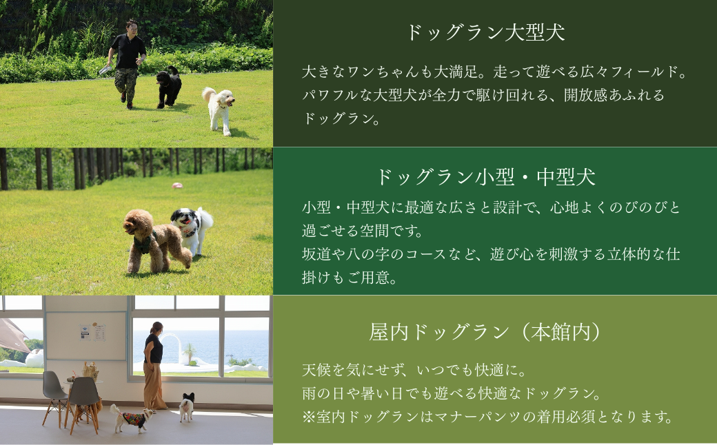 ãã£ã³ã ããã°ã©ã³ 倩ç¶è ãã±ãã 5,000å ã¢ãŠãã㢠ãµãŠã ããªãã³ã° ã¯ã³ã¡ããããã« é
µçŽ é¢šå ãªãŸãŒã ç¬ ããã æµ· æ¥æ¬æµ· æ°æœç åºé²åŽçº