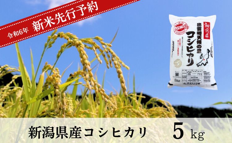 【先行予約】 新米 新潟県産 コシヒカリ 5㎏ (10月以降発送予定) 出雲崎町産 「天領の里」 令和6年産 白米 精米 お米 こしひかり