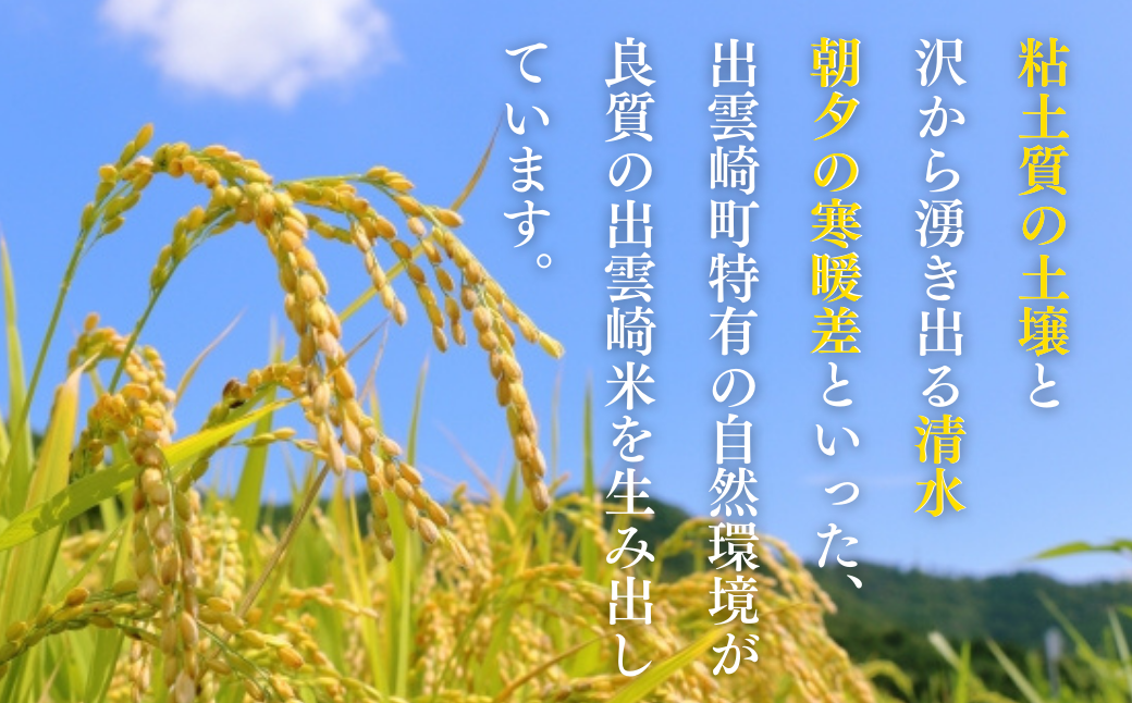 新米 特別栽培米 コシヒカリ 「出雲崎の輝き」 定期便 5kg 6か月 新潟県産 出雲崎町産 令和6年産 白米 精米 お米 ブランド米 合計30kg