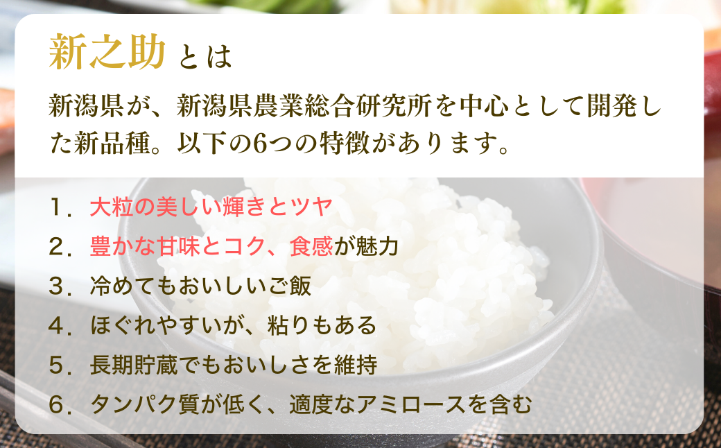 新米「新之助」 定期便 5kg 3か月 新潟県産 出雲崎町産 令和6年産 白米 精米 お米 合計15kg