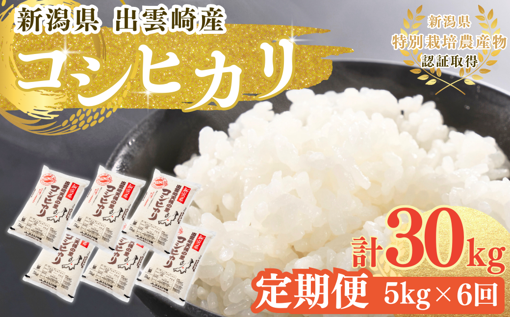 新米 新潟県産 コシヒカリ 定期便 5kg 6か月 出雲崎町産 「天領の里」 令和6年産 白米 精米 お米 合計30kg　