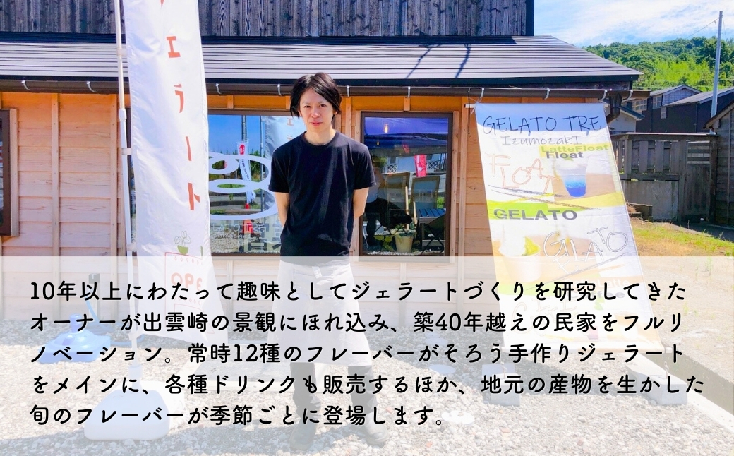 【手作りジェラート】アイスクリーム 詰め合わせ 1種類 選べる（12個入）イチゴソルベ 新潟県 出雲崎町	