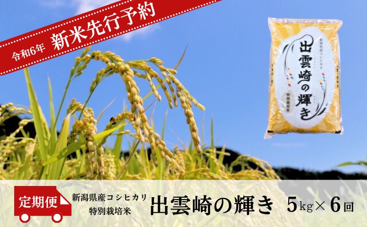 【先行予約】 新米 特別栽培米 コシヒカリ 「出雲崎の輝き」 定期便 5kg 6か月 (10月以降発送予定 ) 新潟県産 出雲崎町産 令和6年産 白米 精米 お米 ブランド米 合計30kg