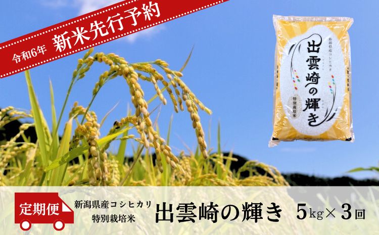 【先行予約】 新米 特別栽培米 コシヒカリ 「出雲崎の輝き」 定期便 5kg 3か月 (10月以降発送予定 ) 新潟県産 出雲崎町産 令和6年産 白米 精米 お米 ブランド米 合計15kg