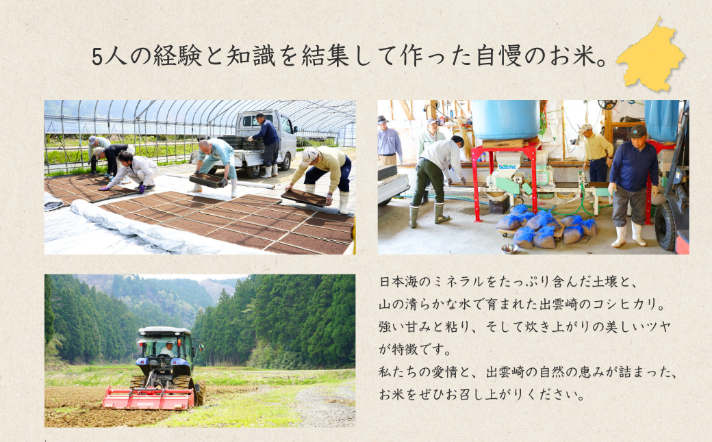 《新米》 【先行予約】【農家直送】令和8年産 新潟県産 「コシヒカリ」5kg 〈10月中旬発送分〉 出雲崎町産 農事組合法人ファーム天領 白米 精米 お米 こしひかり　