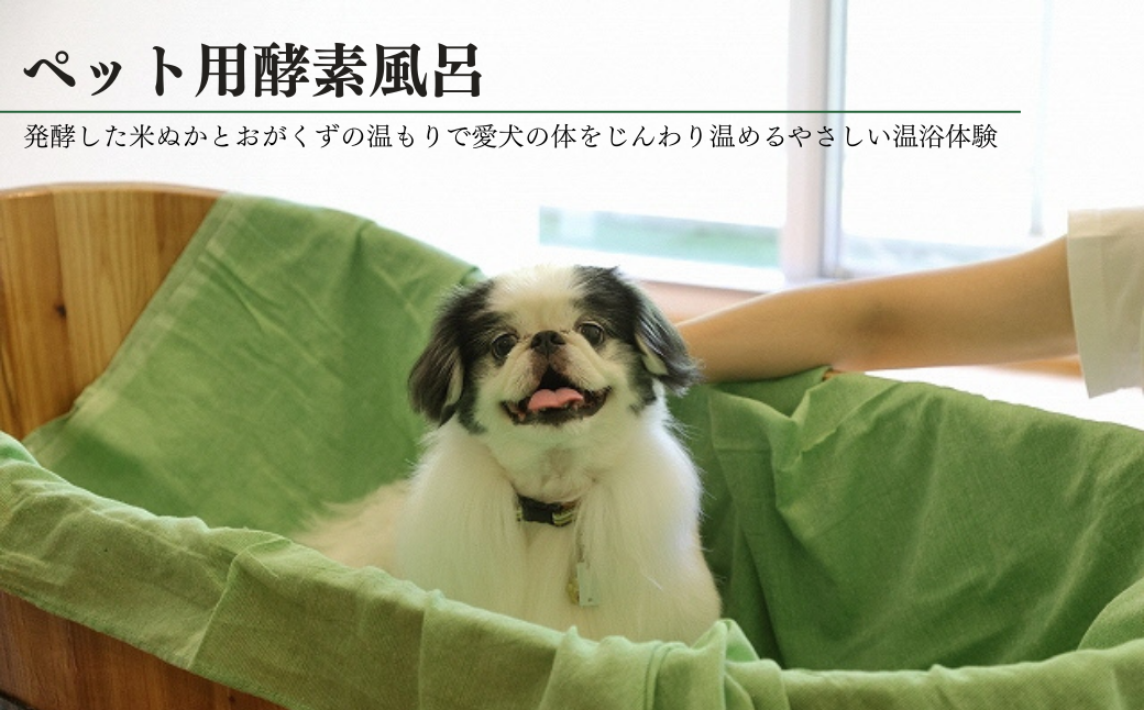 ãã£ã³ã ããã°ã©ã³ 倩ç¶è ãã±ãã 5,000å ã¢ãŠãã㢠ãµãŠã ããªãã³ã° ã¯ã³ã¡ããããã« é
µçŽ é¢šå ãªãŸãŒã ç¬ ããã æµ· æ¥æ¬æµ· æ°æœç åºé²åŽçº