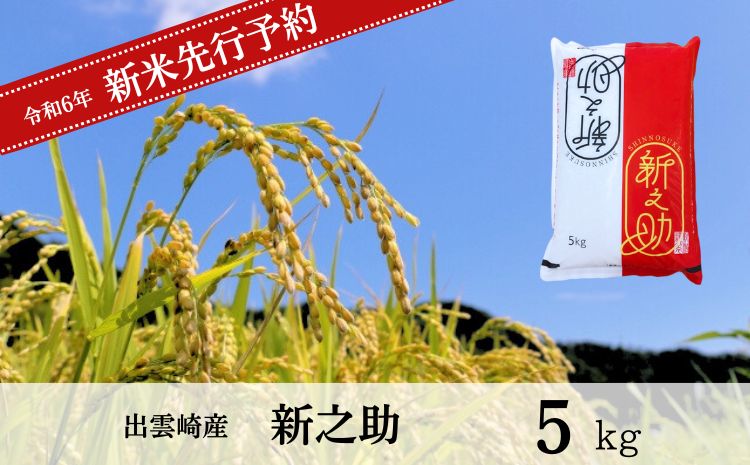 【先行予約】 新米 「新之助」5㎏ (10月以降発送予定 ) 新潟県産 出雲崎町産 令和6年産 白米 精米 お米