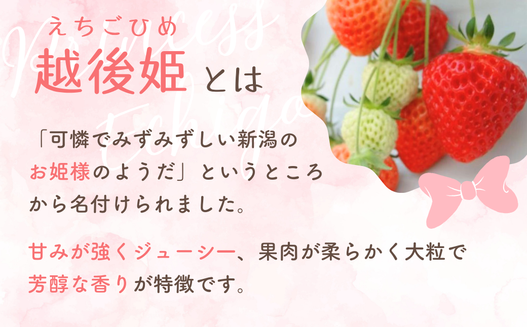 【越後姫 いちご】いちご 800g（400g×2パック） 国産 減農薬栽培 苺 イチゴ ブランドいちご フルーツ 果物 新潟県産 出雲崎町