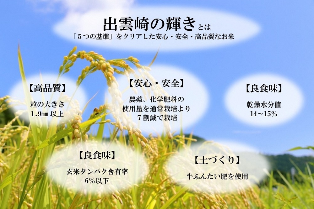 【先行予約】 新米 食べ比べ 3種 「コシヒカリ、出雲崎の輝き、新之助」 5kg×3種類 合計15kg 令和6年産 新潟県産 出雲崎町産 特別栽培米 白米 精米 お米 こしひかり