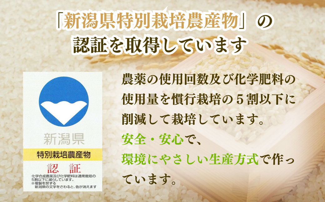 新米「新之助」 定期便 5kg 3か月 新潟県産 出雲崎町産 令和6年産 白米 精米 お米 合計15kg