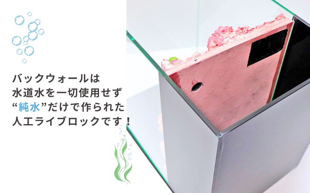 【海水魚専用】ハンドメイド小型水槽 ポンプ無し 30×20×25cm　（サーチライフクラフト）