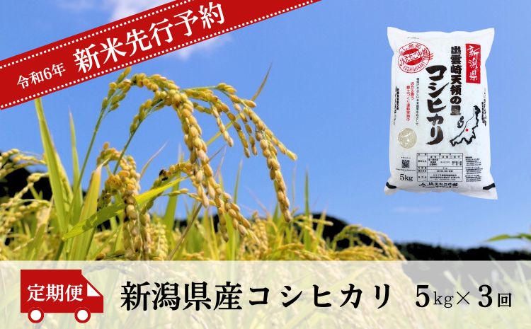 【先行予約】 新米 新潟県産 コシヒカリ 定期便 5kg 3か月 (10月以降発送予定) 出雲崎町産 「天領の里」 令和6年産 白米 精米 お米 合計15kg　