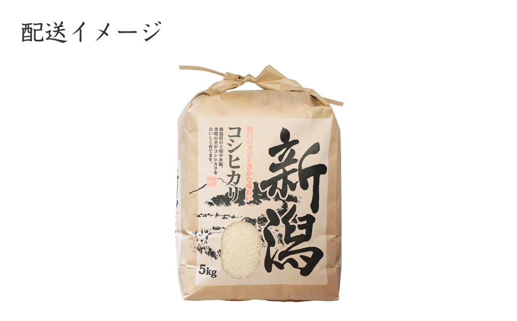 《新米》 【先行予約】【農家直送】令和8年産 新潟県産 「コシヒカリ」5kg 〈10月中旬発送分〉 出雲崎町産 農事組合法人ファーム天領 白米 精米 お米 こしひかり　