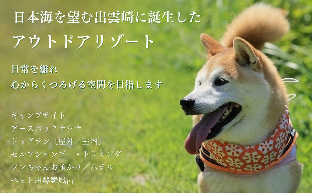 ãã£ã³ã ããã°ã©ã³ 倩ç¶è ãã±ãã 5,000å ã¢ãŠãã㢠ãµãŠã ããªãã³ã° ã¯ã³ã¡ããããã« é
µçŽ é¢šå ãªãŸãŒã ç¬ ããã æµ· æ¥æ¬æµ· æ°æœç åºé²åŽçº