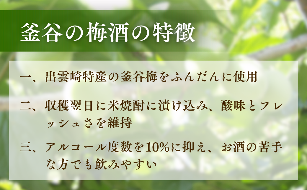 【日本酒梅酒セット】朝日酒造『ゆく年くる年』（720ml×1本） 北雪酒造製造『釜谷の梅酒』（720ml×1本）出雲崎町産「五百万石」使用 吟醸酒 淡麗辛口 出雲崎町大釜谷産「越の梅」使用 新潟県 うめ酒 お酒 ギフト 贈答品 令和6年産