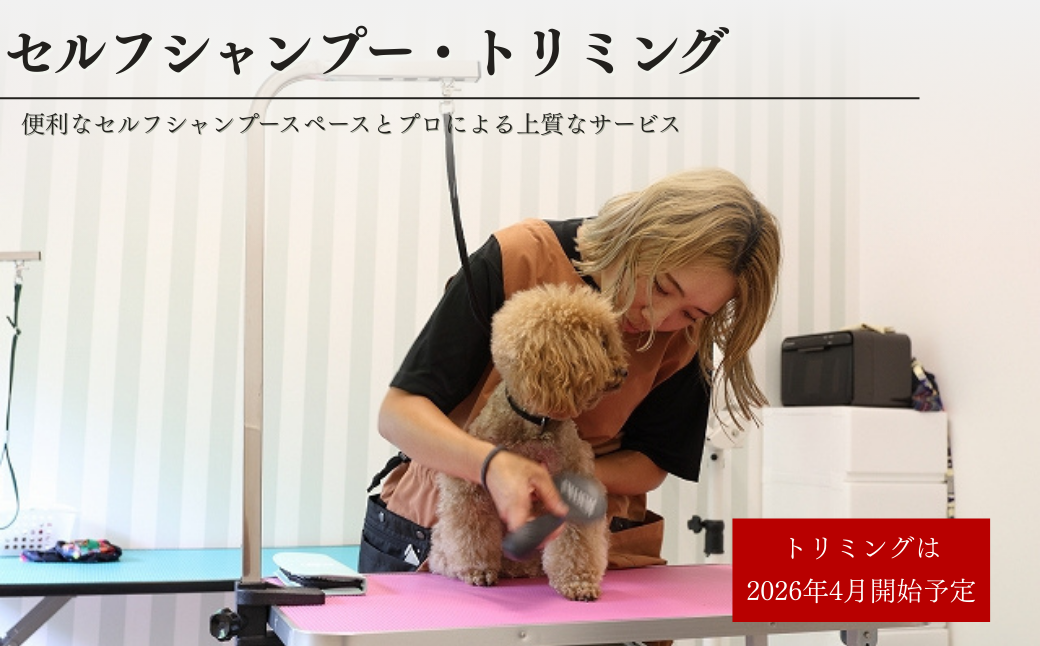 ãã£ã³ã ããã°ã©ã³ 倩ç¶è ãã±ãã 5,000å ã¢ãŠãã㢠ãµãŠã ããªãã³ã° ã¯ã³ã¡ããããã« é
µçŽ é¢šå ãªãŸãŒã ç¬ ããã æµ· æ¥æ¬æµ· æ°æœç åºé²åŽçº