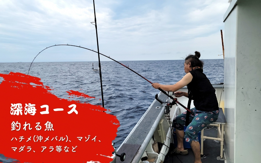 【海釣りチケット】釣り船 乗船券 日本海 深海コース（10時間）大人1名 新潟県 出雲崎町 タイ ヒラメ イカ アジ 遊漁船「孝信丸」初心者 経験者 レジャー