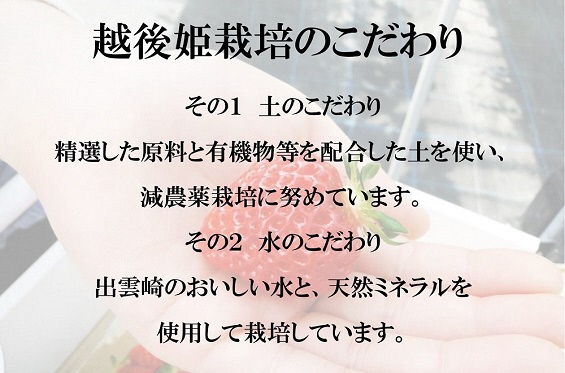 【新潟ブランドいちご・越後姫】オリジナルジェラート　カップアイス　（出雲崎いちご園）