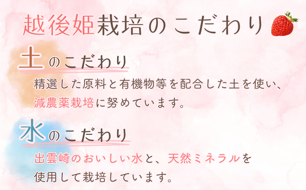 【越後姫 いちご】いちご 800g（400g×2パック） 国産 減農薬栽培 苺 イチゴ ブランドいちご フルーツ 果物 新潟県産 出雲崎町
