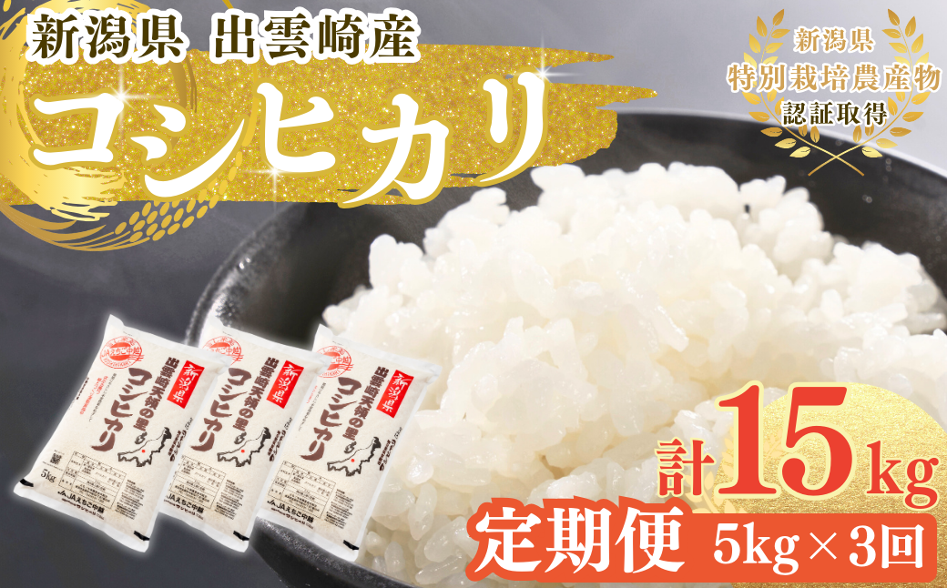 新米 新潟県産 コシヒカリ 定期便 5kg 3か月 出雲崎町産 「天領の里」 令和6年産 白米 精米 お米 合計15kg　