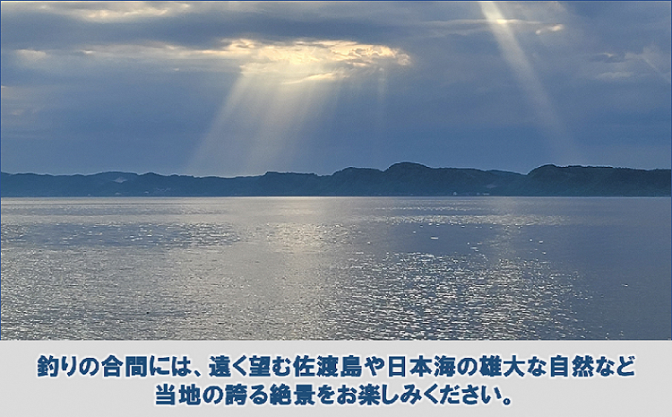 【海釣り体験】釣り船チケット　近海コース　（遊漁船「孝信丸」）
