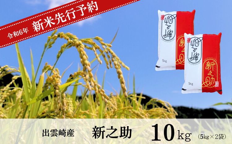 【先行予約】 新米 「新之助」10㎏ (10月以降発送予定 ) 新潟県産 出雲崎町産 令和6年産 白米 精米 お米