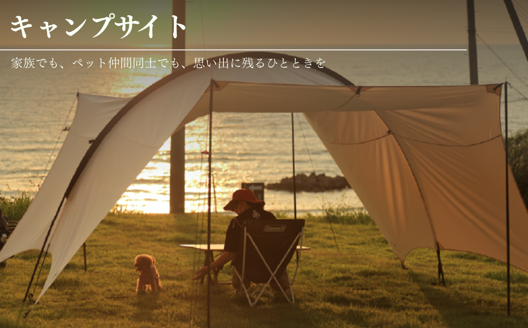 ãã£ã³ã ããã°ã©ã³ 倩ç¶è ãã±ãã 5,000å ã¢ãŠãã㢠ãµãŠã ããªãã³ã° ã¯ã³ã¡ããããã« é
µçŽ é¢šå ãªãŸãŒã ç¬ ããã æµ· æ¥æ¬æµ· æ°æœç åºé²åŽçº