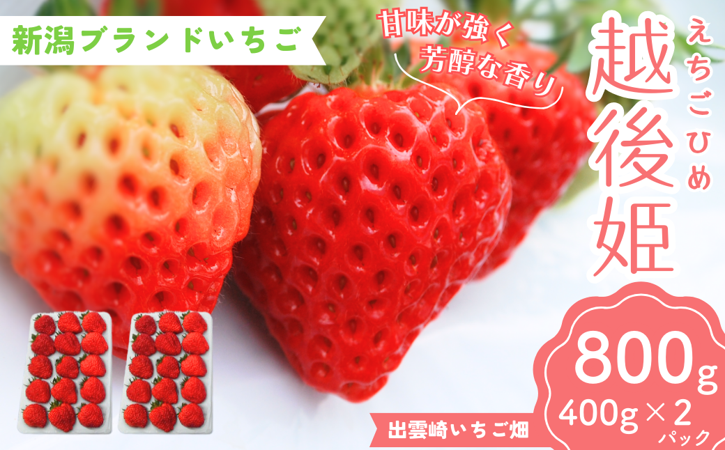【越後姫 いちご】いちご 800g（400g×2パック） 国産 減農薬栽培 苺 イチゴ ブランドいちご フルーツ 果物 新潟県産 出雲崎町