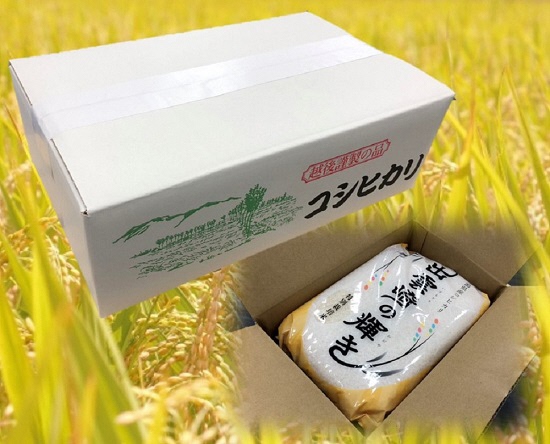 新米 特別栽培米 コシヒカリ 「出雲崎の輝き」 定期便 5kg 3か月 新潟県産 出雲崎町産 令和6年産 白米 精米 お米 ブランド米 合計15kg