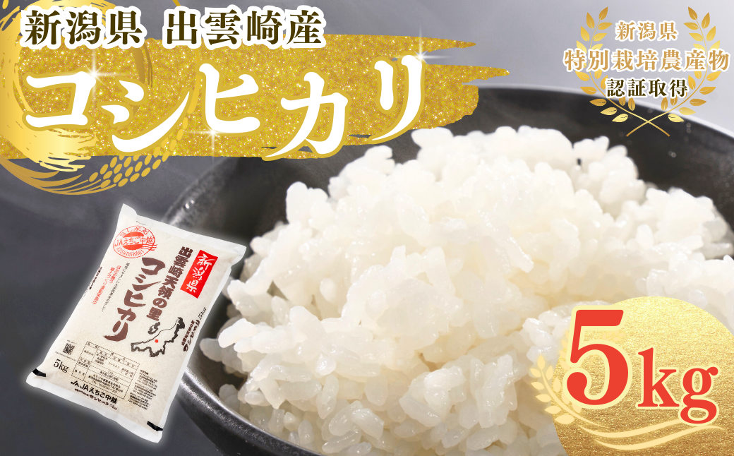 新米 新潟県産 コシヒカリ 5㎏ 出雲崎町産 「天領の里」 令和6年産 白米 精米 お米 こしひかり