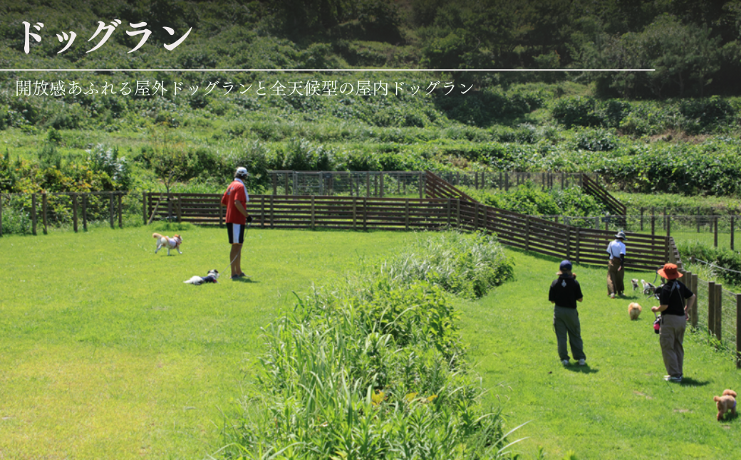 ãã£ã³ã ããã°ã©ã³ 倩ç¶è ãã±ãã 5,000å ã¢ãŠãã㢠ãµãŠã ããªãã³ã° ã¯ã³ã¡ããããã« é
µçŽ é¢šå ãªãŸãŒã ç¬ ããã æµ· æ¥æ¬æµ· æ°æœç åºé²åŽçº