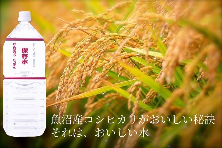 超長期保存水「魚沼の水」 2リットル×6本セット 非常時や災害時に備えたおいしい天然水【地場産品】 MURAO-02